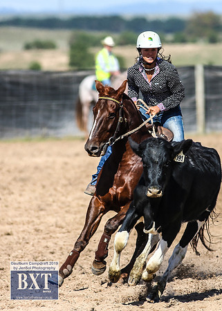 GoulburnCampdraft2019_3712