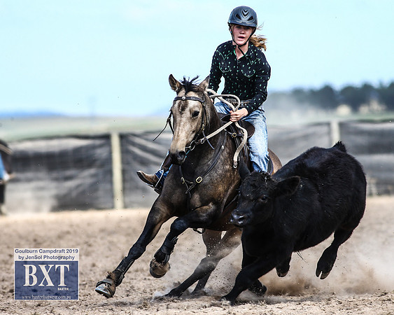 GoulburnCampdraft2019_4019