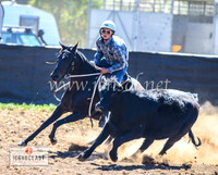 NimmitabelCampdraft2024_0340