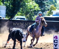 NimmitabelCampdraft2024_0158