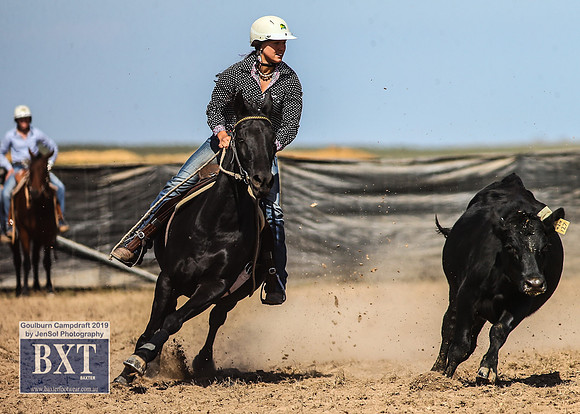 GoulburnCampdraft2019_3942