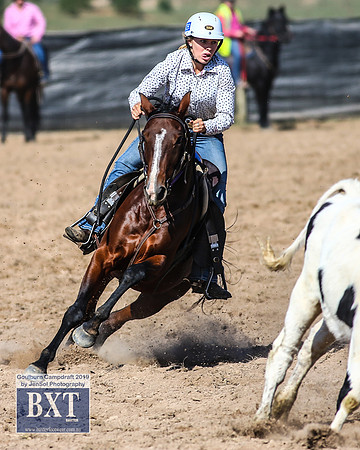 GoulburnCampdraft2019_3571
