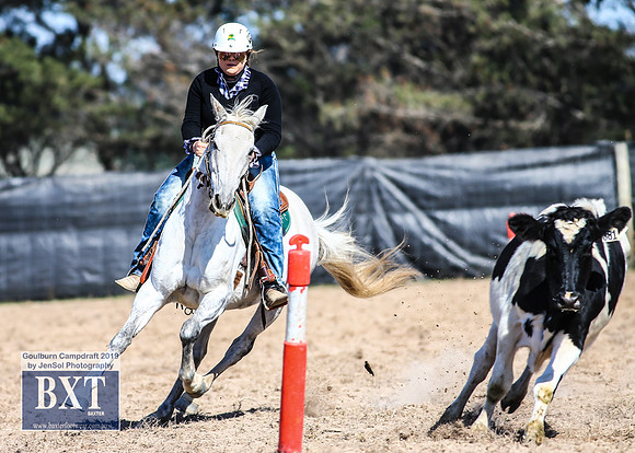 GoulburnCampdraft2019_3718