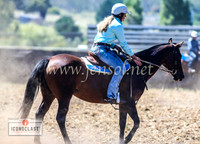 NimmitabelCampdraft2024_0416