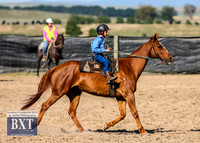 GoulburnCampdraft2019_3450