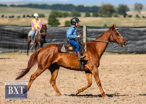 GoulburnCampdraft2019_3450