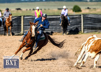 GoulburnCampdraft2019_3452