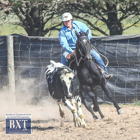 GoulburnCampdraft2019_3795