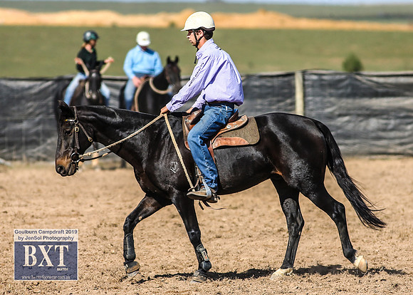 GoulburnCampdraft2019_3616