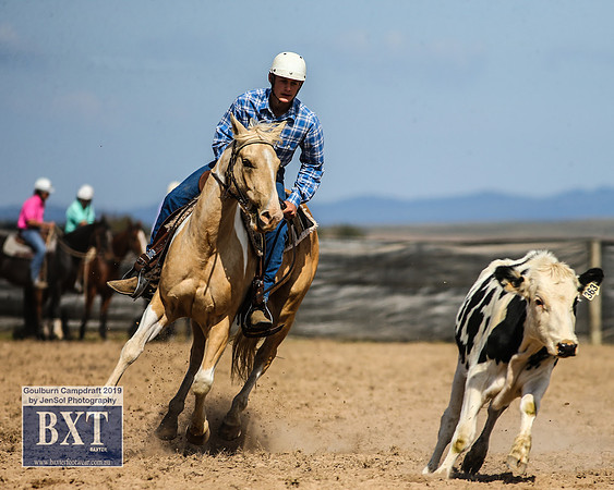 GoulburnCampdraft2019_3999