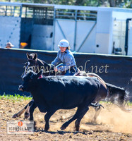 NimmitabelCampdraft2024_0170