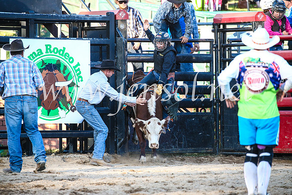 CoomaRodeo2017_3211