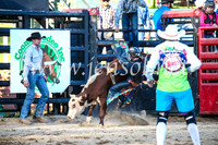 CoomaRodeo2017_3207