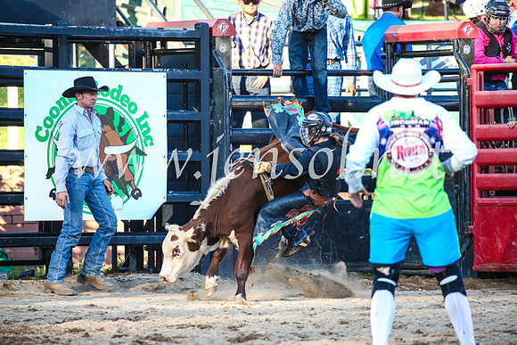 CoomaRodeo2017_3207
