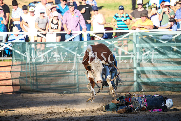 CoomaRodeo2017_3230