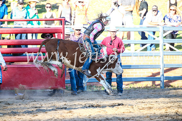 CoomaRodeo2017_3212