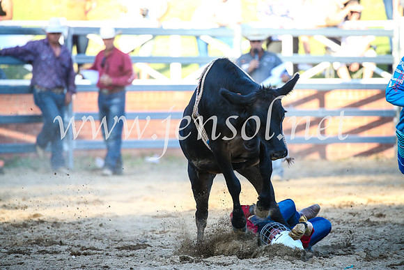 CoomaRodeo2017_3245