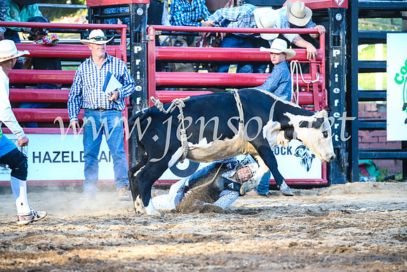 CoomaRodeo2017_3259
