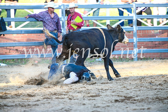 CoomaRodeo2017_3338