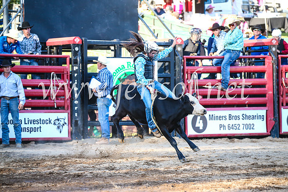 CoomaRodeo2017_3193