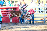 CoomaRodeo2017_3214