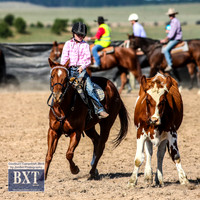 GoulburnCampdraft2019_3504