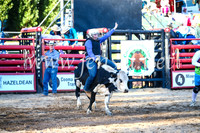 CoomaRodeo2017_3162
