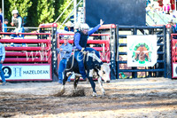CoomaRodeo2017_3164