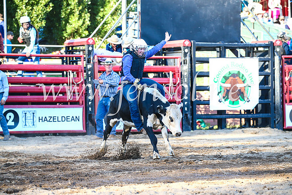 CoomaRodeo2017_3164