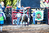 CoomaRodeo2017_3181