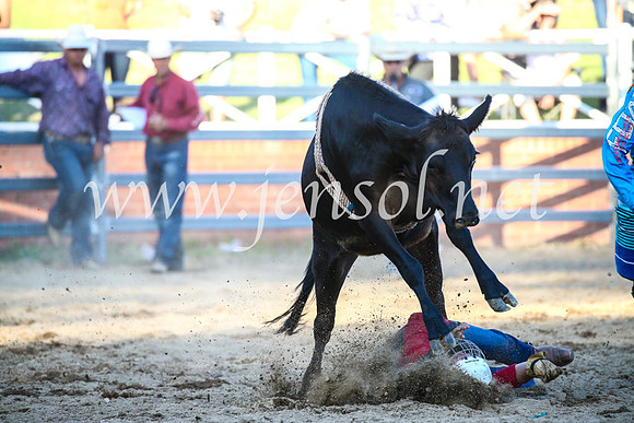 CoomaRodeo2017_3255