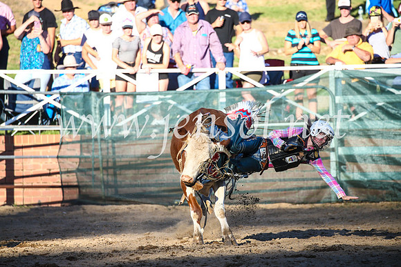 CoomaRodeo2017_3228