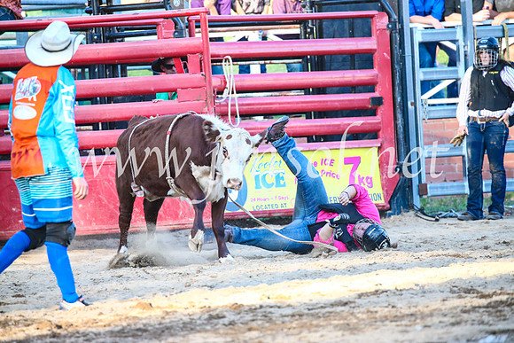 CoomaRodeo2017_3351