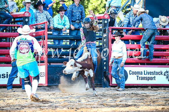 CoomaRodeo2017_3272