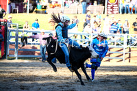 CoomaRodeo2017_3200