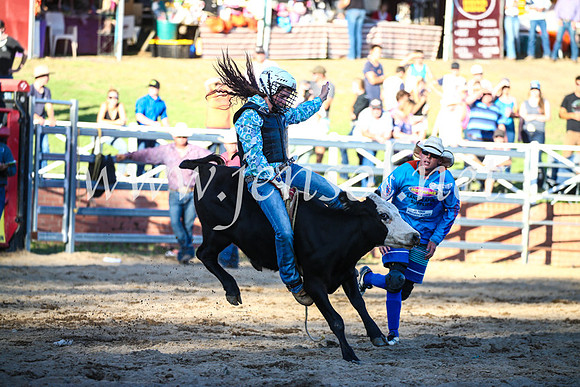 CoomaRodeo2017_3200