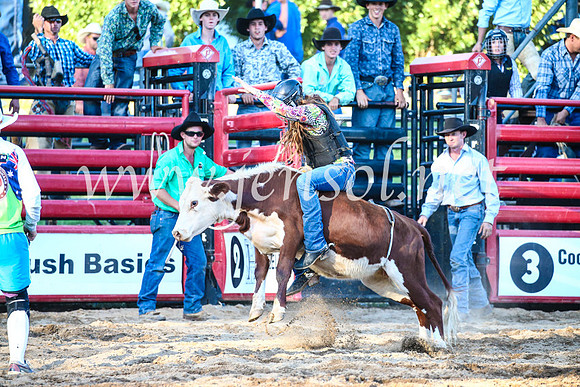 CoomaRodeo2017_3269