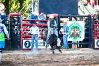 CoomaRodeo2017_3179