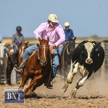 GoulburnCampdraft2019_3881