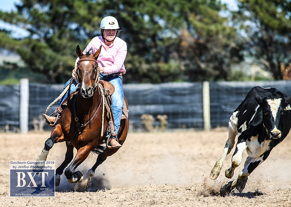 GoulburnCampdraft2019_3741