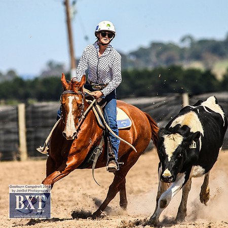 GoulburnCampdraft2019_3947