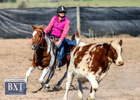 GoulburnCampdraft2019_3432