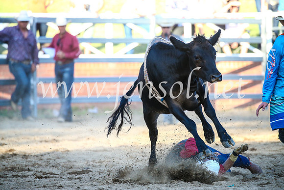 CoomaRodeo2017_3254