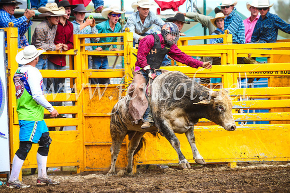 QueanbeyanRodeo2017_2815