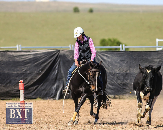 GoulburnCampdraft2019_3665