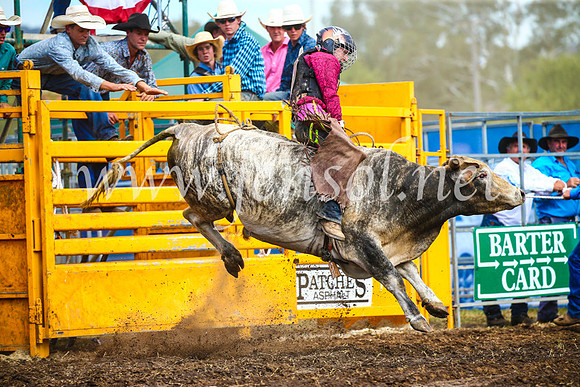 QueanbeyanRodeo2017_2813