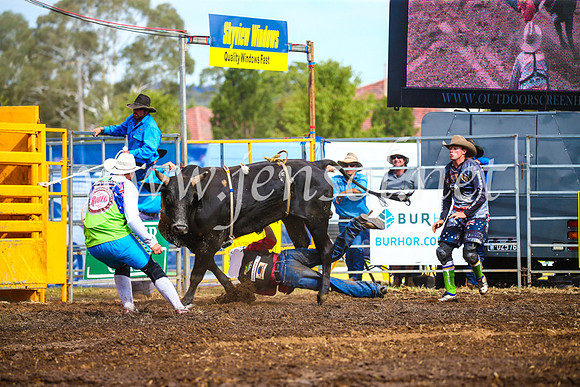 QueanbeyanRodeo2017_2583