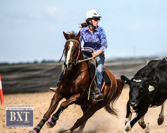 GoulburnCampdraft2019_4039