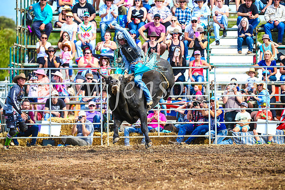 QueanbeyanRodeo2017_2769