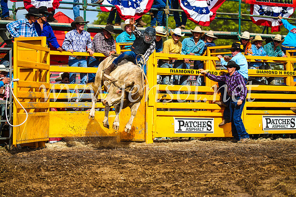 QueanbeyanRodeo2017_2970